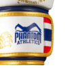 Боксерські рукавиці Phantom Muay Thai Gold Limited Edition 12 унцій (бинти в подарунок)